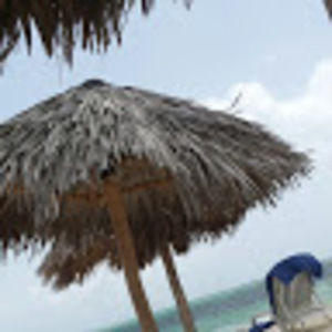 Meet your Posher, Mia